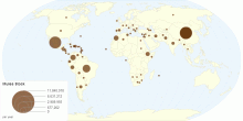 Mules Stock by Country