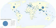 Gross Cereals Production by Country