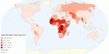 Male Mortality Under Age Five