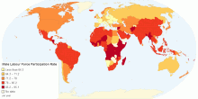 Male Labour Force Participation Rate