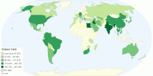 Grapes Yield by Country