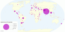 Diammonium Phosphate (DAP) by Country