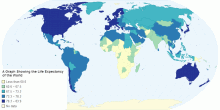 A Graph Showing the Life Expectancy of the World