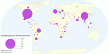 World Maize/Corn Production 2010/11