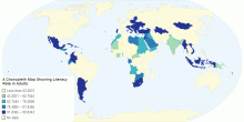 A Choropleth Map Showing Literacy Rate in Adults