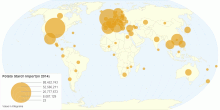 Potato Starch Import by Country