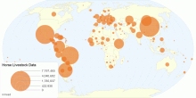 Horse Livestock Data by Country