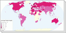 Average Male and Female Height