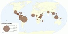 Coffee Harvested Area by Country