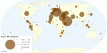 Durum Wheat Import by Country