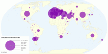 Grapes Harvested Area by Country