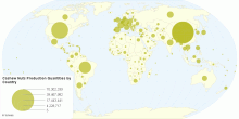 Cashew Nuts Production Quantities by Country