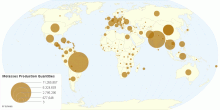 Molasses Production Quantities by Country