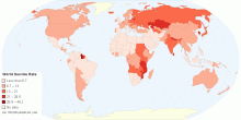 World Suicide Rate