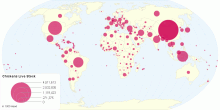 Chickens LiveStock Data by Country