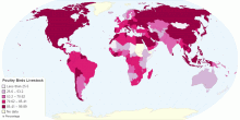 Poultry Birds Livestock  by Country