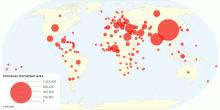 Tomatoes Harvested Area by Country