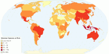 Mammal Species at Risk by Country