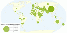 FAO Statistic 2014 Global Sheep Population