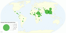 Sesame Seed Harvested Area by Country