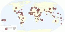 Sweet Potatoes Yield by Country