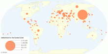 Watermelons Harveated Area by Country