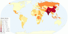 Modern Slavery