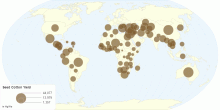 Seed Cotton Yield by Country