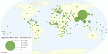 Vegetables Fresh nes - Harvested Area by Country