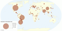 Soybeans Harvested Area by Country