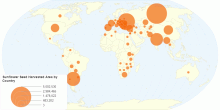 Sunflower Seed Harvested Area by Country