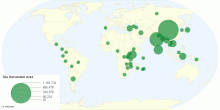 Tea Harvested Area by Country