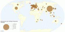 Mushrooms and Truffles Production Quantity by Country