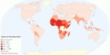 Maternal Mortality Ratio