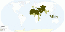 Islam nach Land: Absolute Mehrheit & Signifikante Minderheiten