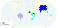 Global Surveys of TB Costs