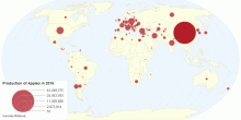 Production of Apples in 2016