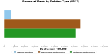 Causes of Death 2017