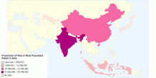 Production of Rice in Most Populated States in Asia