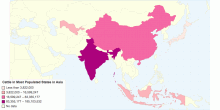 Cattle in Most Populated States in Asia