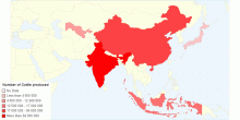 Cattle Production in Most Populated Countries in Asia