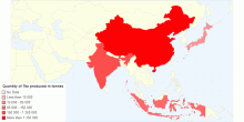 Tea Production in Most Populated Countries in Asia
