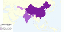 Production of Wheat 2017