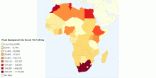 Number of Covid - 19 cases in Africa