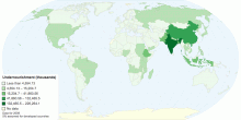 Undernourishment (absolute figures)