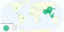 World Rice Production 2010