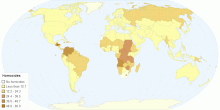 Homocides 2004 - 2008